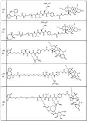 Figure BDA0002889616220001981