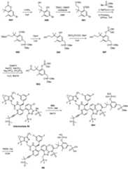 Figure imgf000229_0001
