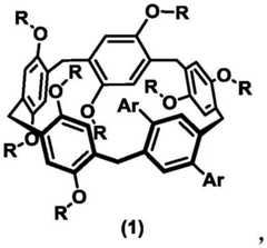 Figure DDA0003789550520000011