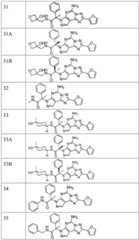 Figure FDA0003465902320000121