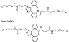 Figure imgf000022_0003
