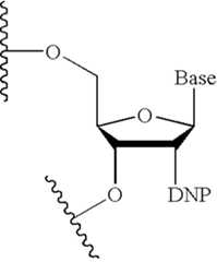 Figure US08158601-20120417-C00017