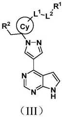 Figure FDA0003793832310000011