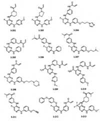 Figure FPA00001280125500421