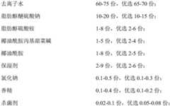 Figure BDA0003402276370000051