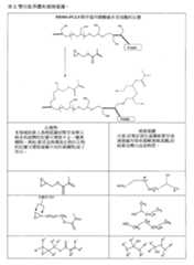 Figure 110102718-A0305-02-0048-18
