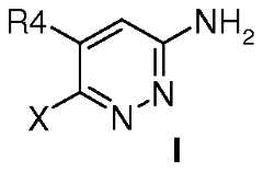 Figure imgf000049_0001