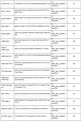 Figure imgf000061_0001