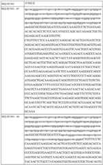 Figure BDA0002742983620000451