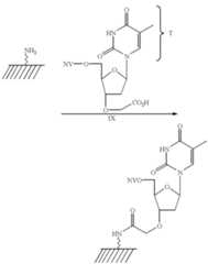 Figure US06379895-20020430-C00030