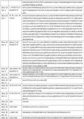 Figure BDA0003397594070000601