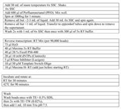 Figure imgf000052_0001