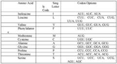 Figure imgf000027_0001