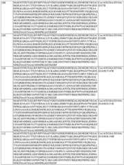 Figure BDA0004183790070000811