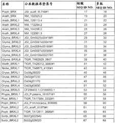 Figure BDA0000079231800001241