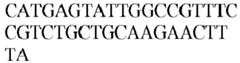 Figure imgb0558