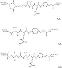 Figure BDA0002803871440001231
