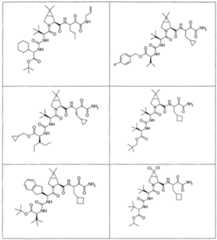 Figure imgf000189_0001