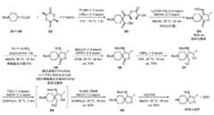 Figure 2023532748000005