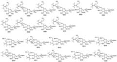 Figure imgf000219_0002