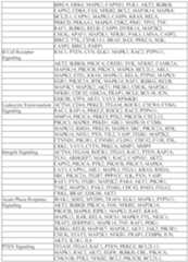 Figure imgf000082_0001