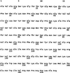 Figure A20068002206700281