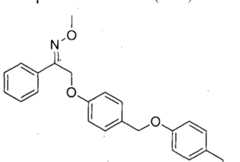 Figure imgf000072_0002