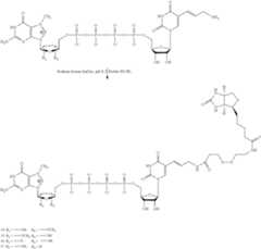 Figure US08093367-20120110-C00016