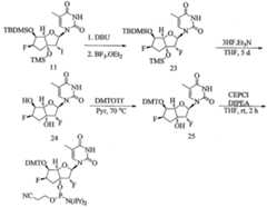 Figure imgf000079_0001