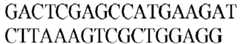 Figure imgb0551