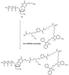 Figure imgf000068_0001