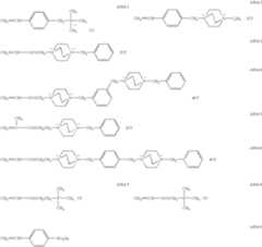 Figure US06974608-20051213-C00003