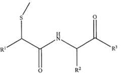 Figure imgf000006_0001