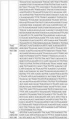 Figure BDA0004033970230005021