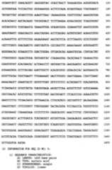 Figure imgf000051_0001