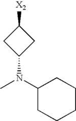 Figure US07521457-20090421-C01402