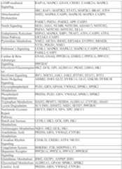 Figure imgf000063_0001