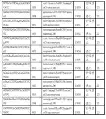 Figure 112017054487516-pct00092