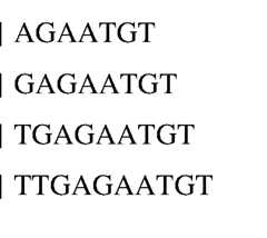 Figure imgf000815_0004