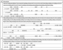 Figure imgf000059_0002