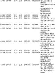 Figure BPA00001280678302681