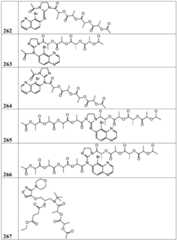 Figure BDA0002268634580003011