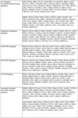 Figure imgf000479_0001