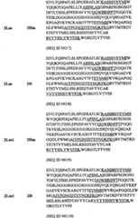 Figure BPA00001431277700411