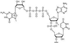 Figure imgf000136_0001