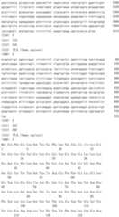 Figure IDA0002717394630000061