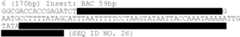 Figure US08053192-20111108-C00006