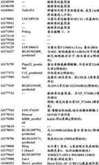 Figure BDA0000057170160000371