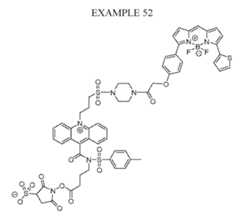 Figure imgf000097_0001