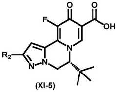Figure BDA0003141290410001022